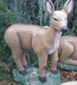 Standing Doe LG