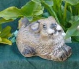 Happy Bunny