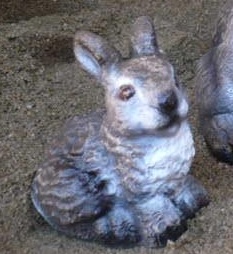 Small sitting Rabbit