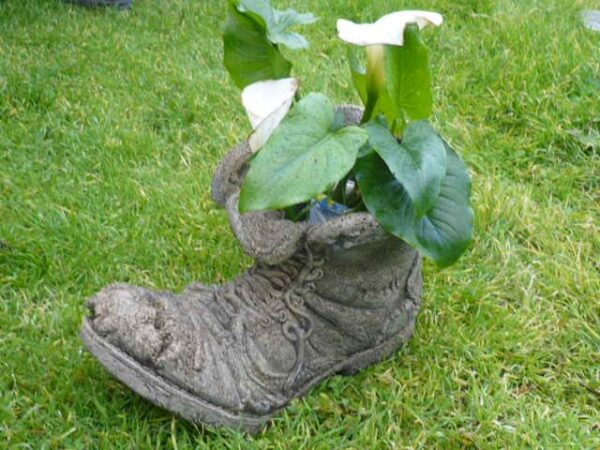 Old boot planter