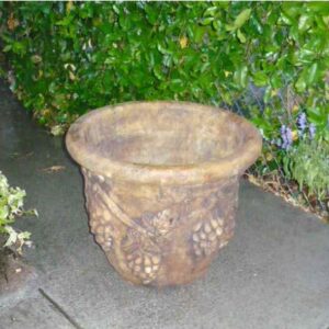 Grape Planter