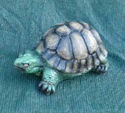 Small Turtle