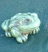 Small Toad