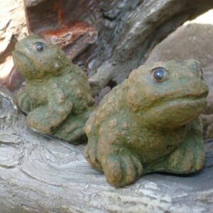 Tiny Toads