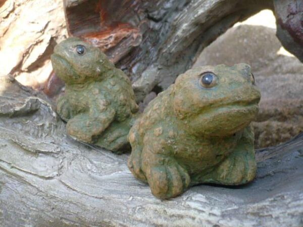 Tiny Toads