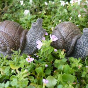 Small Snail