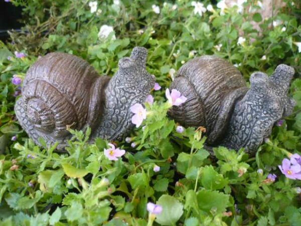 Small Snail