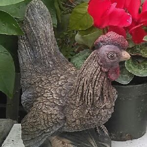 Hen
