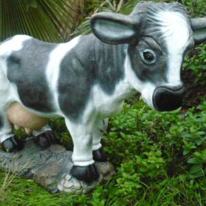 Cow