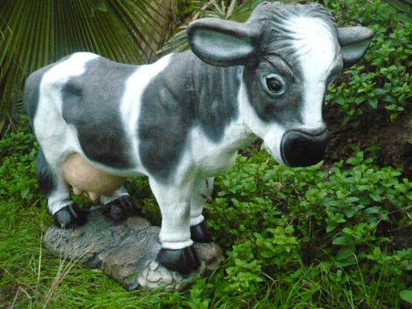 Cow