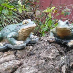 Tiny Frogs