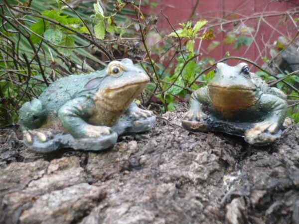 Tiny Frogs