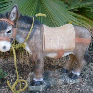 Burro