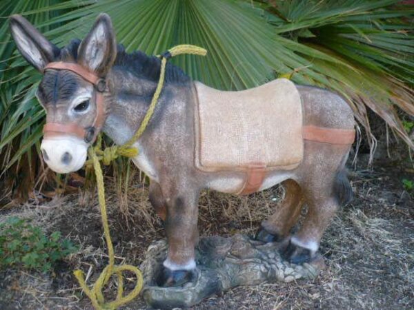 Burro