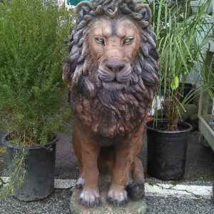 Male Lion