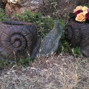 Snail Planter