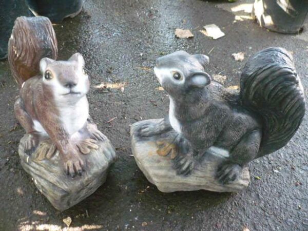 Standing squirrel