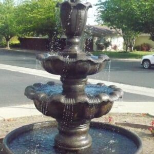 Ipomoea Fountain 3 tier w6/ft pond