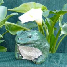 Frog Head Left