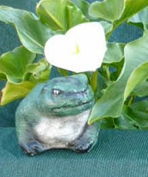 Frog Head Right