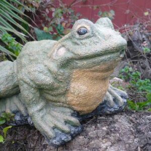 Large Frog