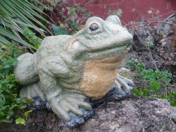 Large Frog