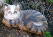 Kitten Head Right