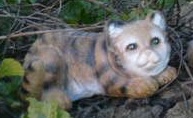 Kitten Head Left