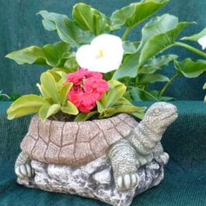 Turtle Planter